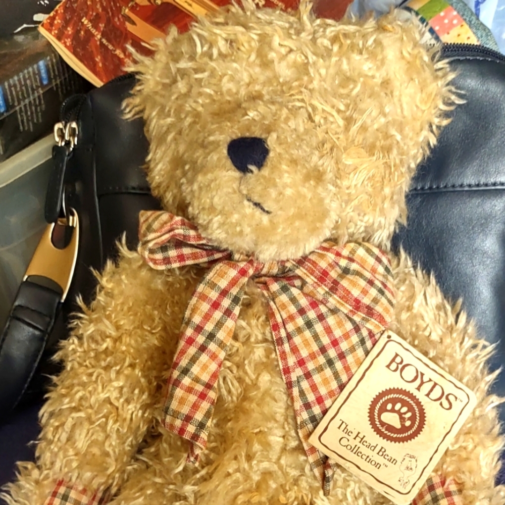 Boyd Bear Mikey b beanster